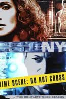 CSI New York Season 3 (2006)