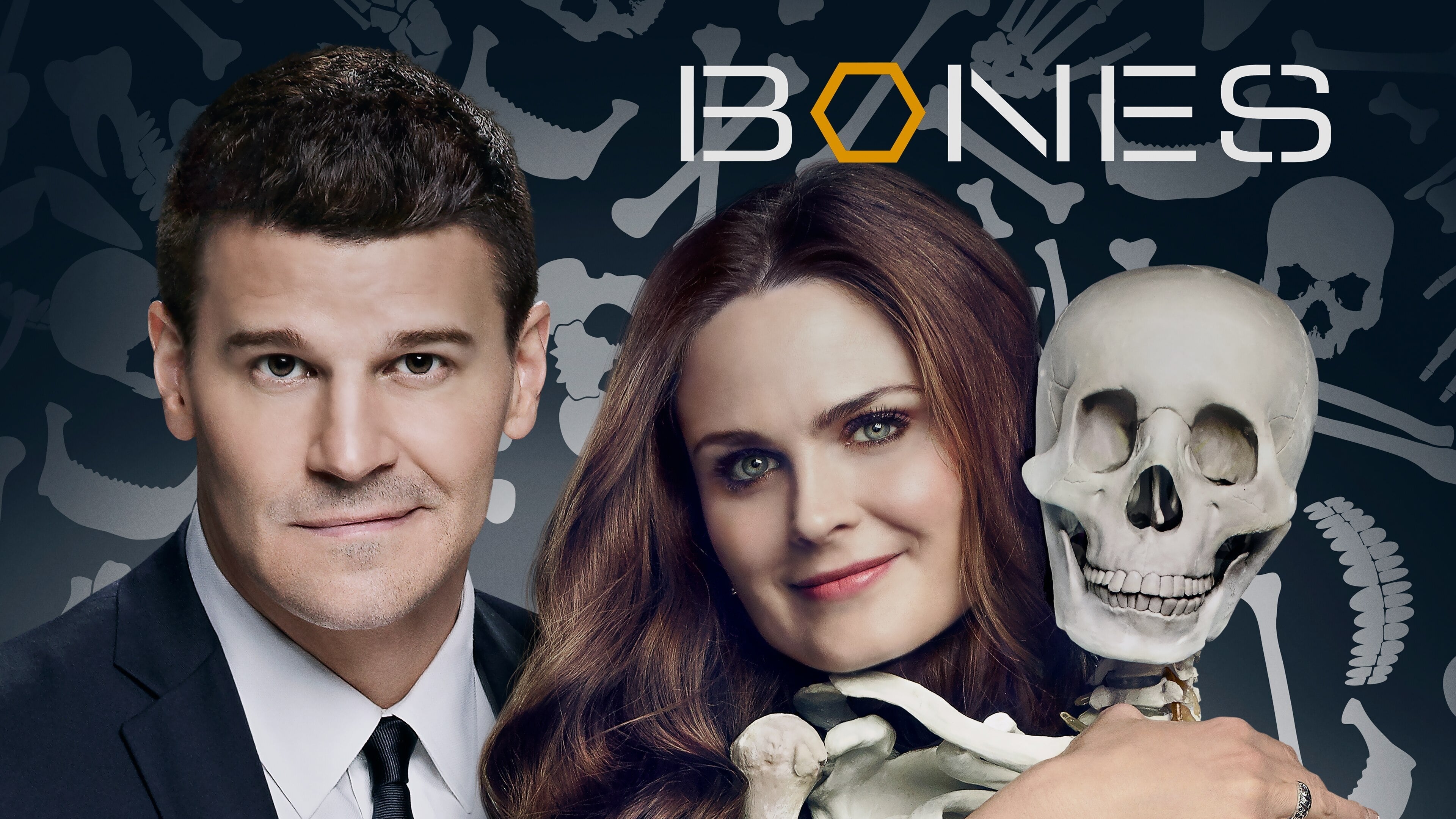 Bones Season 9 (2013) พลิกซากปมมรณะ ปี 9