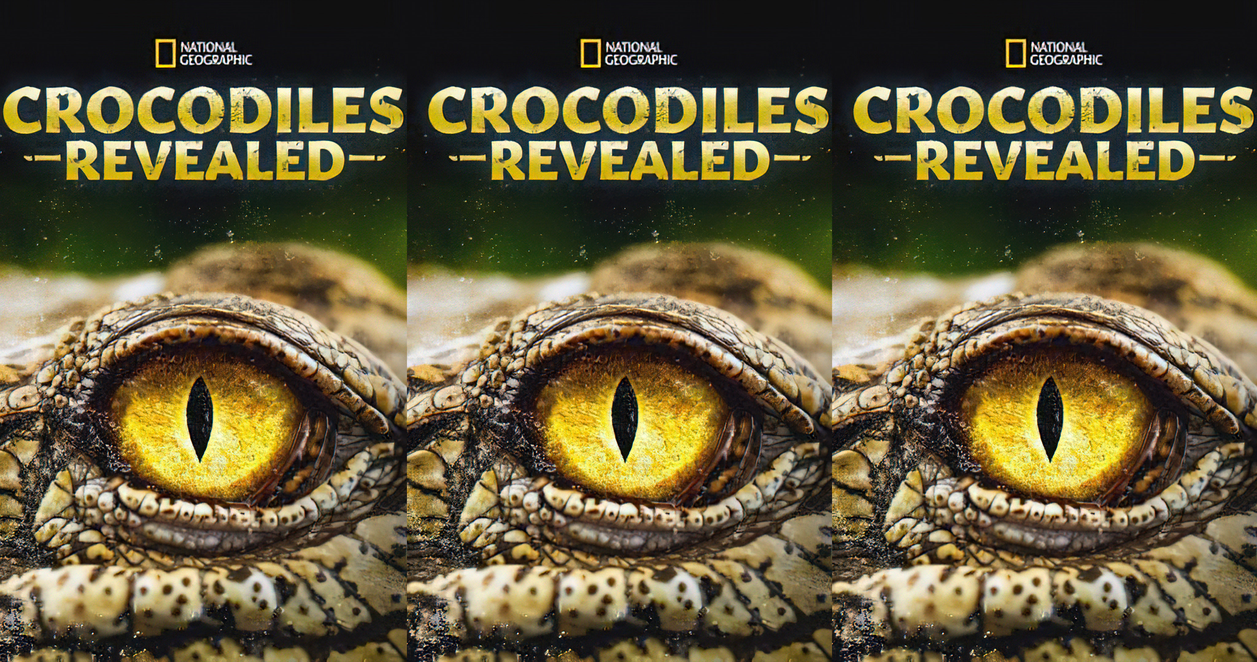 Crocodiles Revealed (2022)