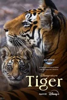 Tiger (2024)