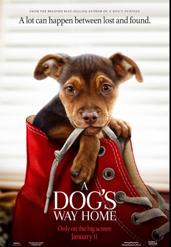 A Dog's Way Home (2019) เพื่อนรักผจญภัยสี่ร้อยไมล์ 