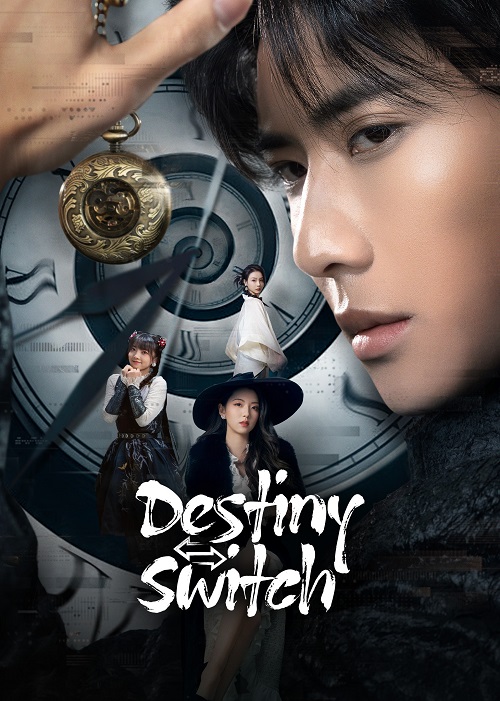 Destiny Switch (2025)