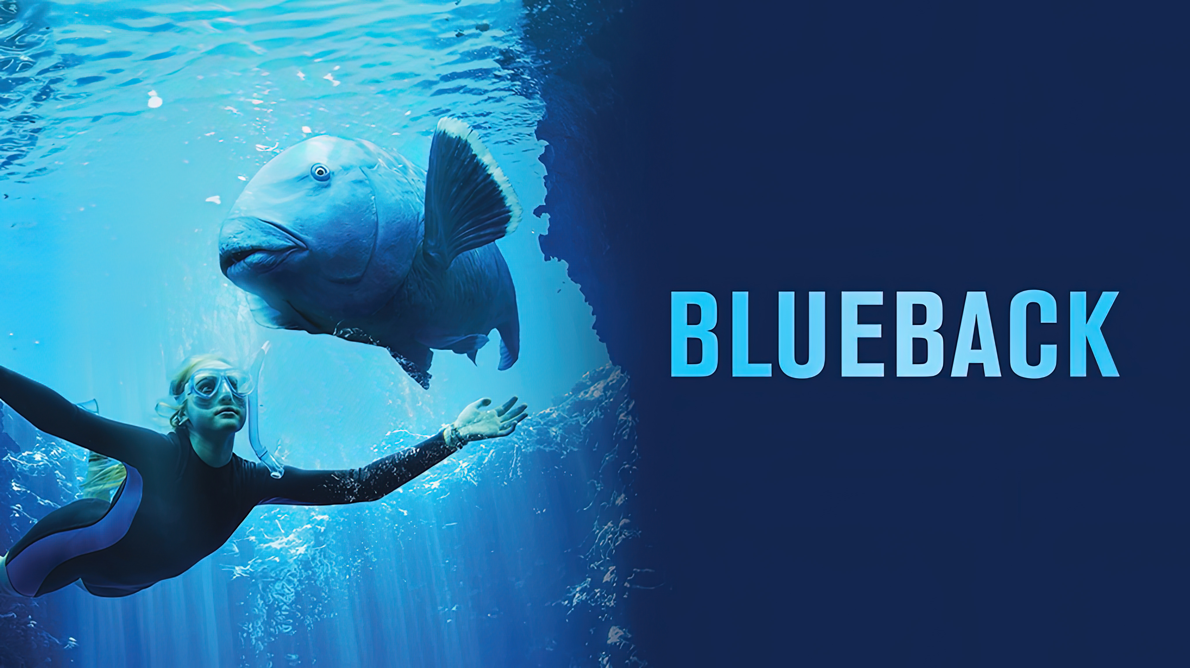 Blueback (2022) บลูกลับมา